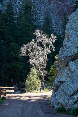 eldorado-canyon-van-trip-inner-canyon